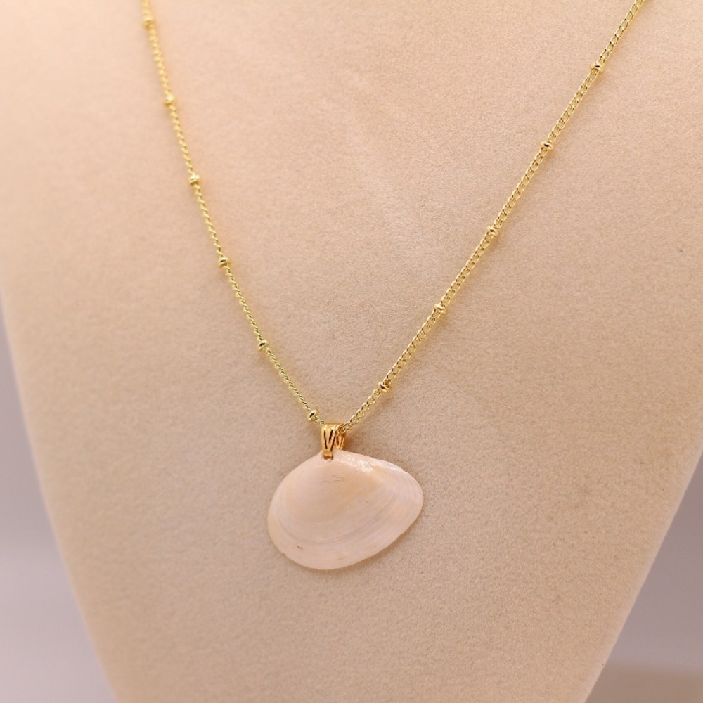 Tellin Shell on 14K Gold Plated Satellite Chain (18")